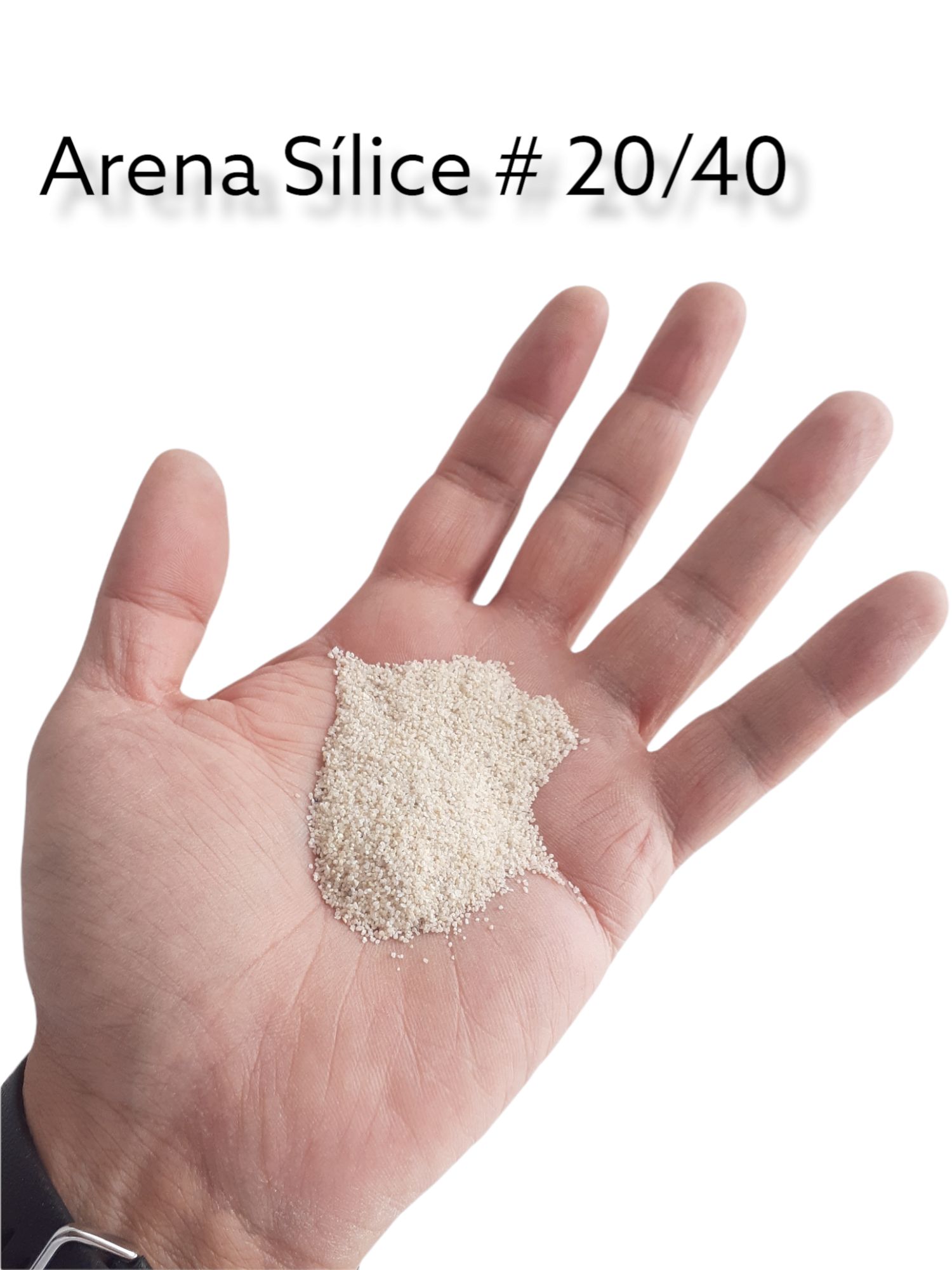 Arena-20.40