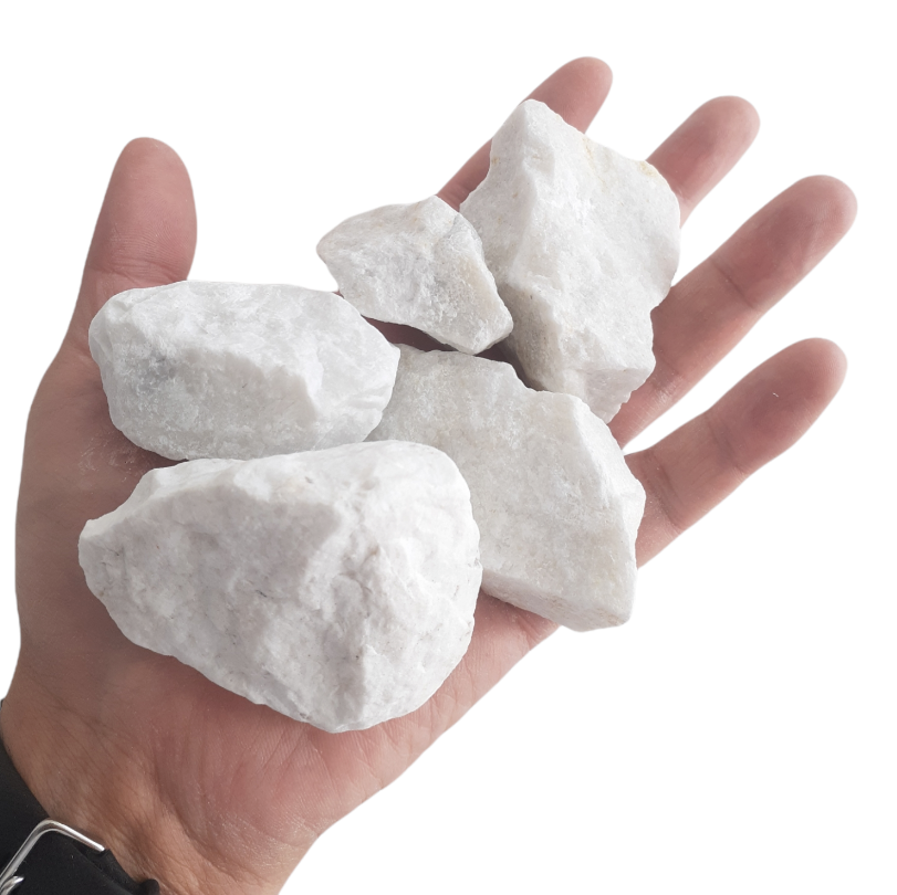 Captura de pantalla 2024-07-10 111353